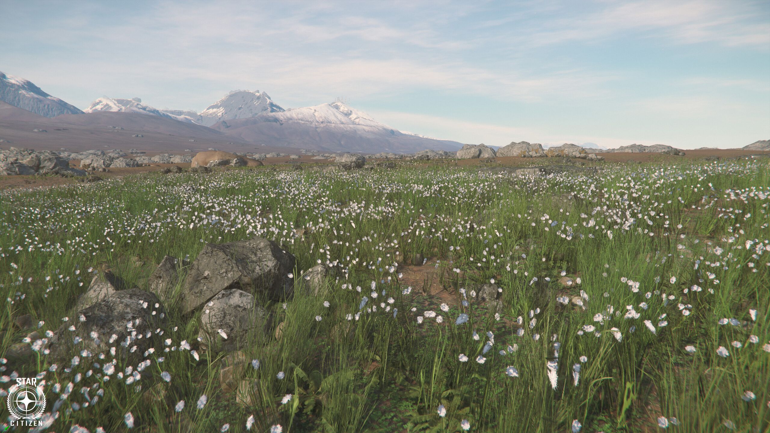 a photo capturing the great plains of micro tech